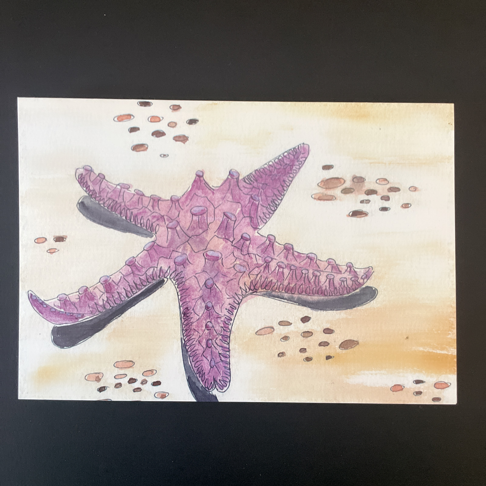 The Salty Woodsman: Art Cards- Starfish