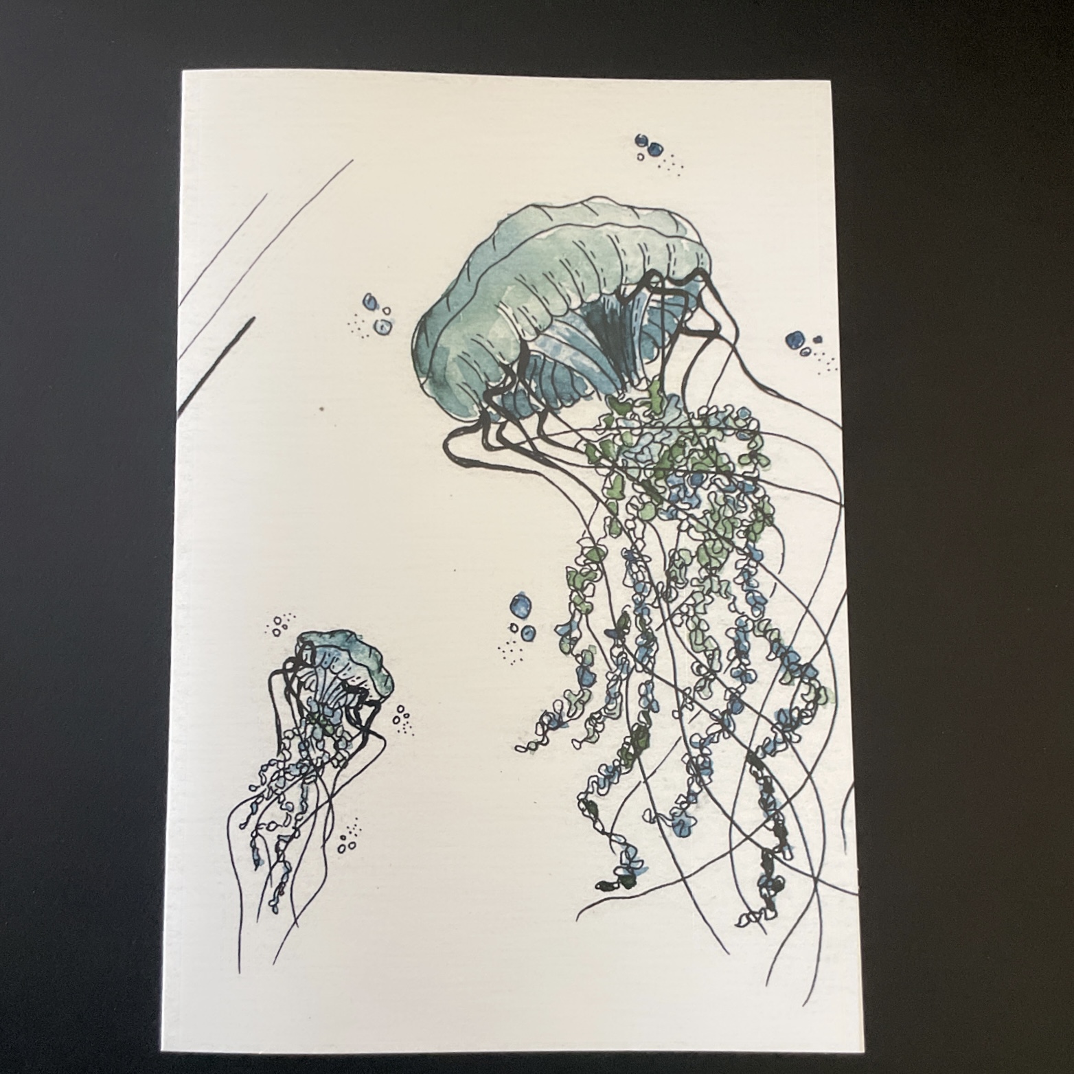 The Salty Woodsman: Art Cards- Jellyfish