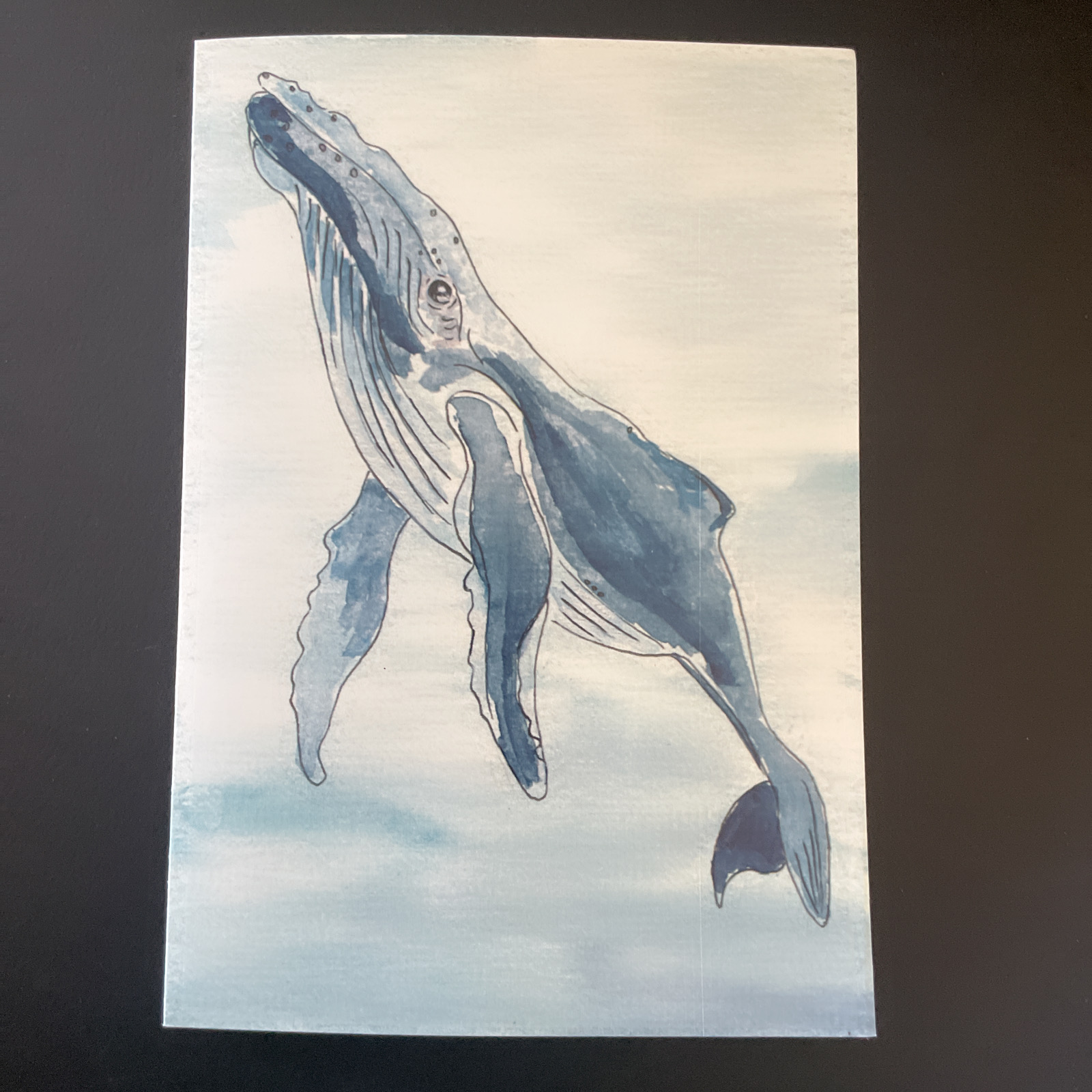 The Salty Woodsman: Art Cards- Whale