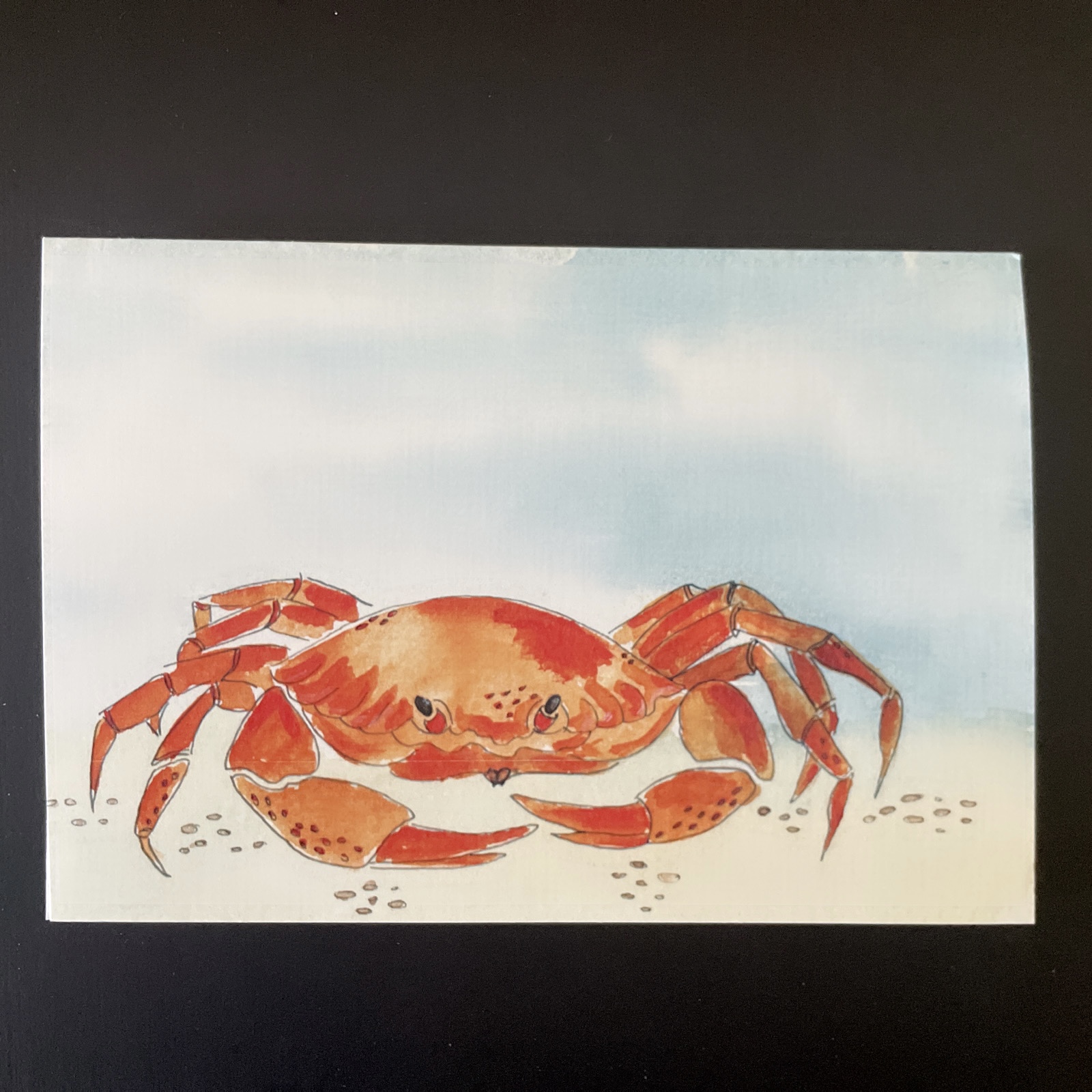 The Salty Woodsman: Art Cards- Crab