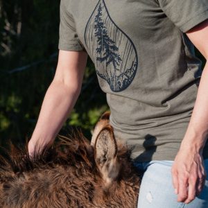Bough & Antler: Unisex T-shirt: Wet Coast