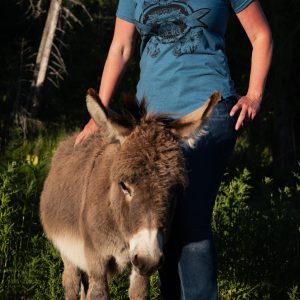 Kindred Coast: Woman's Hummingbirds Heather Teal