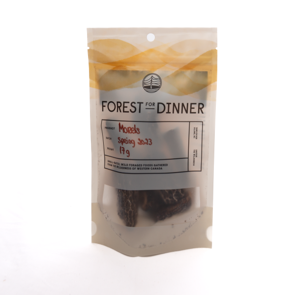 Forest For Dinner: Morels