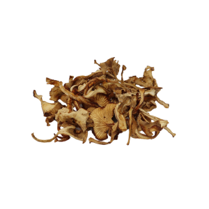 Forest For Dinner: Chantrelles