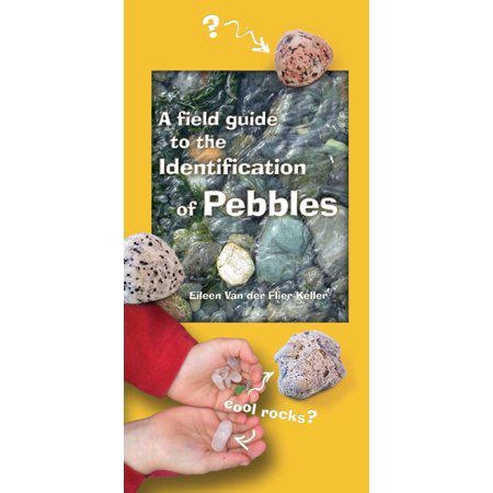 A Field Guide to the Identification of Pebbles (Field Guides of the Pacific Northwest) by Eileen Van der Flier-Keller